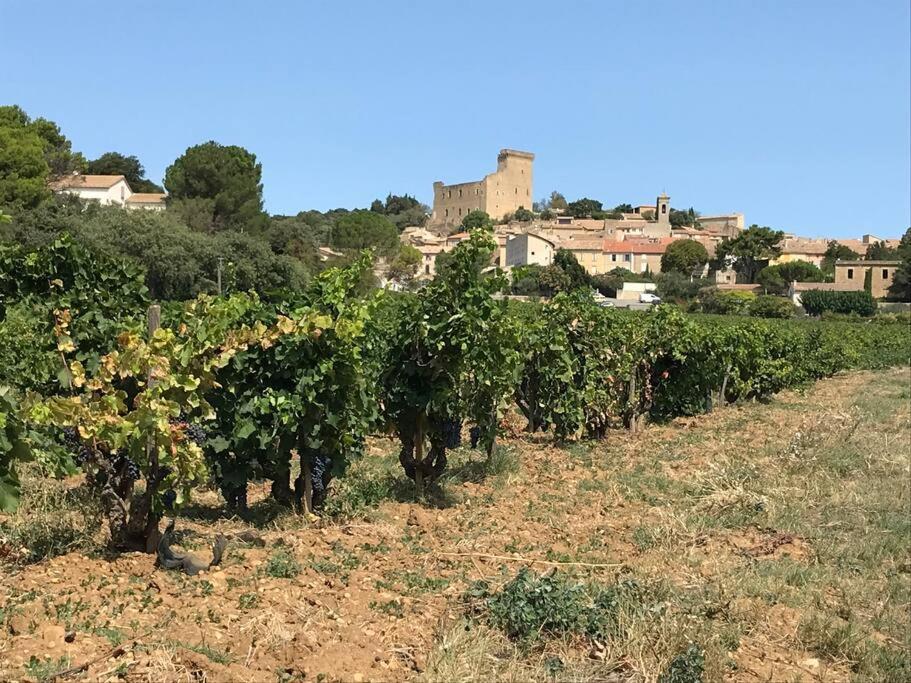 Châteauneuf-du-Pape Gites En B&B Le Clos De La Cerise מראה חיצוני תמונה