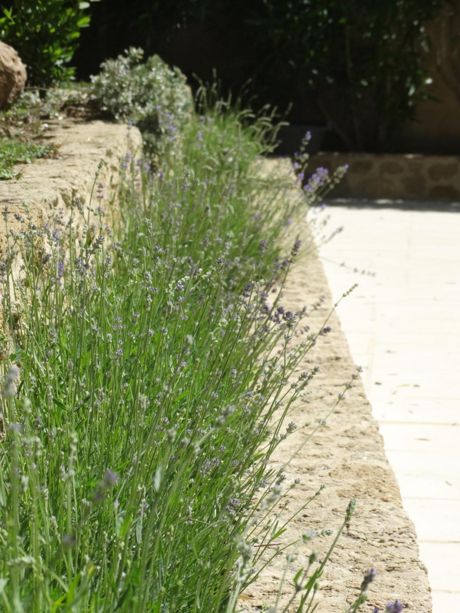 Châteauneuf-du-Pape Gites En B&B Le Clos De La Cerise מראה חיצוני תמונה